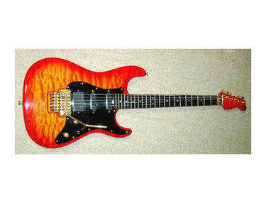 Valley Arts Custom Pro
