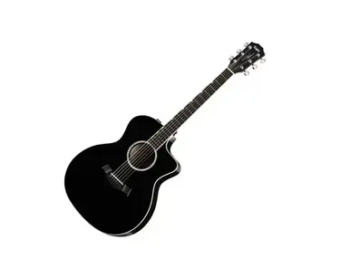 Taylor DDX Acoustic Guitar