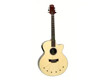 Babicz Identity Series Dreadnought Acoustic