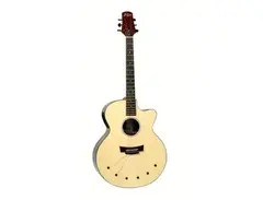 Babicz Identity Series Dreadnought Acoustic
