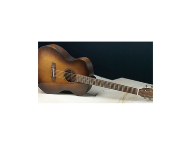 Bedell Earthsong Orchestra Acoustic Guitar