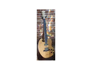 Bischoff Bon Iver's 1608 Custom Electric Guitar