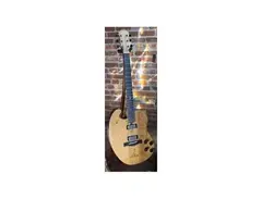 Bischoff Bon Iver's 1608 Custom Electric Guitar