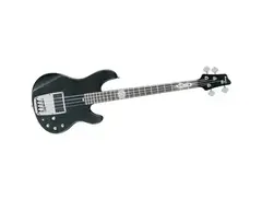 Ibanez PGB-1 main image
