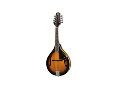 Rogue RM-100A Mandolin
