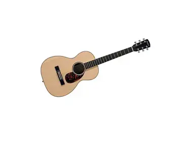 Larrivée Guitars P-03