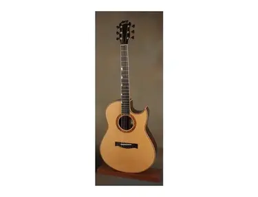 Bischoff Bon Iver's Custom Acoustic Guitar