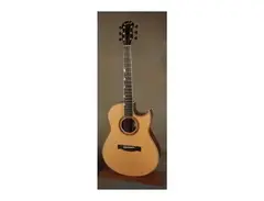 Bischoff Bon Iver's Custom Acoustic Guitar