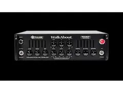 Mesa Boogie WalkAbout Head