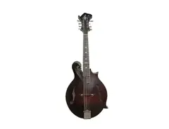 Andy Manson F-Style Mandolin main image