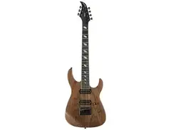 Caparison Custom Dellinger7 main image