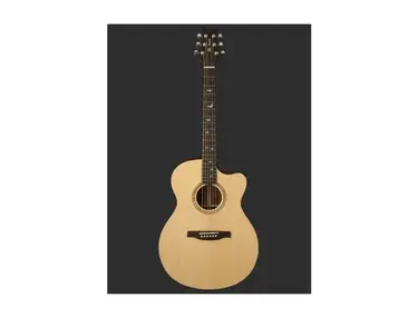 PRS SE Alex Lifeson Thinline Signature Acoustic Guitar