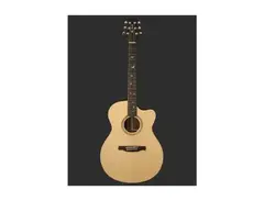 PRS SE Alex Lifeson Thinline Signature Acoustic Guitar