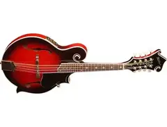 Washburn M3s