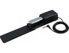 Roland DP-10 Sustain Pedal