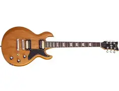 Schecter S-1