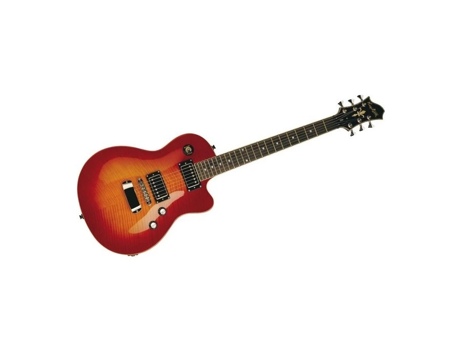 Hagstrom D2H Electric Guitar - Best Deals & Reviews | Equipboard