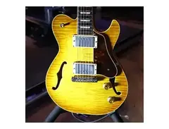 Johan Gustavson James Valentine Custom Electric Guitar
