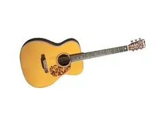 Blueridge BR-163