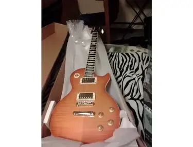 Epiphone Les Paul Standard Pro Ltd. Ed.
