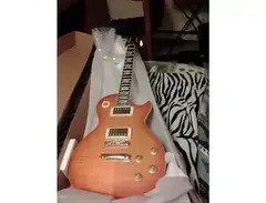 Epiphone Les Paul Standard Pro Ltd. Ed. main image