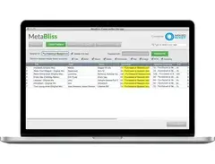 MetaBliss main image