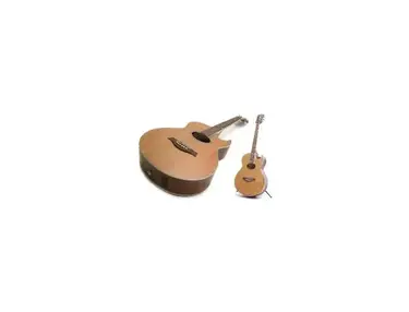 Richwood Artist Series rs-17c-ce