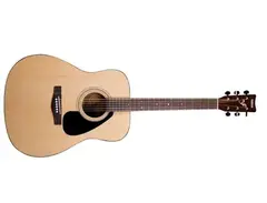 Yamaha F310