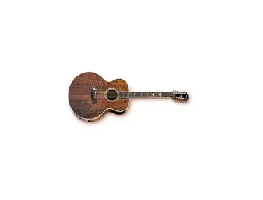Taylor W65 12-String