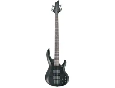ESP LTD B-304