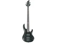 ESP LTD B-304 main image