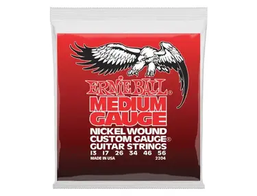 Ernie Ball Medium Gauge Nickel Wound Guitar Strings
