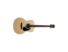 Farida R-16E Acoustic Guitar main image