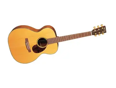 Martin SWOMGT Acoustic Guitar