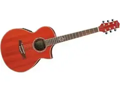 Ibanez EWC30