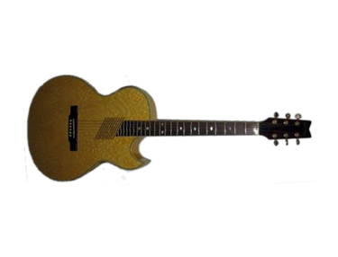 Washburn EA36 Marquee