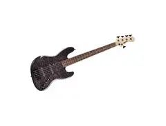 Spector Coda 5-String Bass