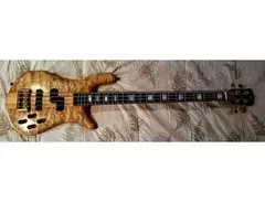 Spector Euro 4LX
