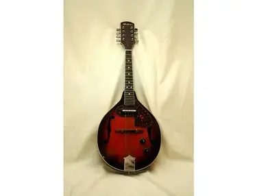 electric mandolin