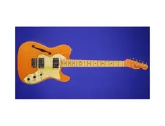Fender Telecaster Thinline (Duplicate)