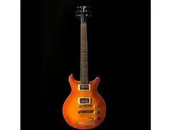 Hamer Archtop Sat-w