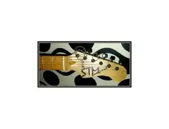 Liverpool STM (Stratocaster) main image