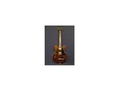 1970 GIbson ES-345 main image