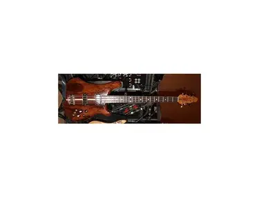 Ranney 8-String Bass Guitar