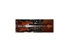 Ranney 8-String Bass Guitar main image