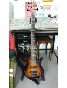 Ibanez SR595