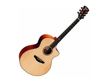 Faith Guitars FNCE Neptune Cutaway Electro-Acoustic