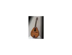 Wildwood Instruments Mandolin with pickup main image