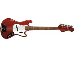 Fender Bass V