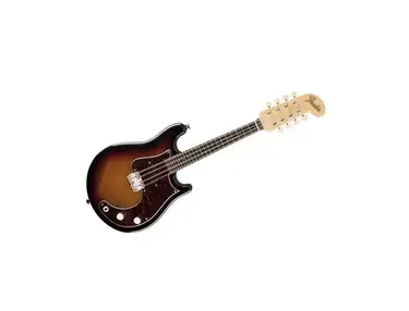 Fender Mando-Stratocaster 8